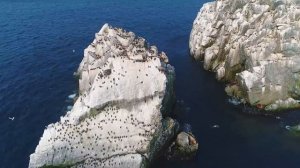 Путешествие по восточному побережью Камчатки