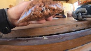 Is it coming after me  [S5 - Eps. 69].