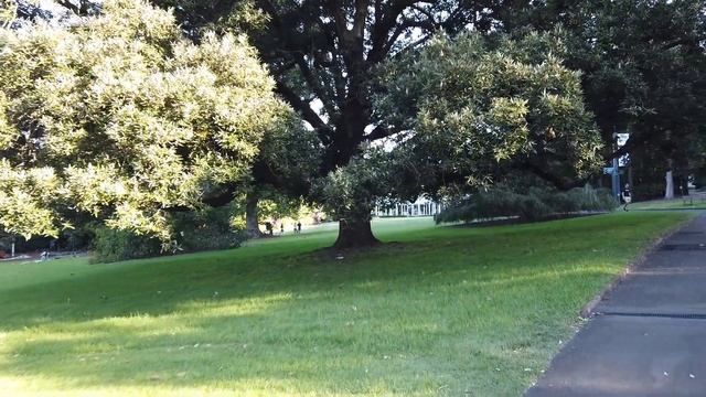 Exploring THE ROYAL BOTANIC GARDEN Sydney Australia смотреть онлайн