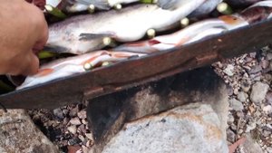 Горбуша в шарабане