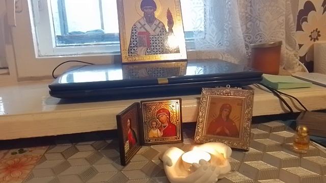 Заслон от вина(для мужа) ?♀️‼️? смотреть онлайн