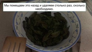 Как быстро и легко высушить базилик