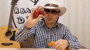 Музыкальные яйца и губная гармоника. Перкуссия для ног своими руками (лайфхак).