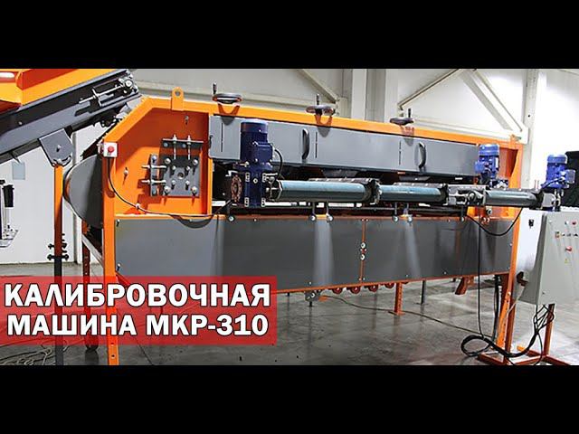Калибровка овощей по размеру (видео)
