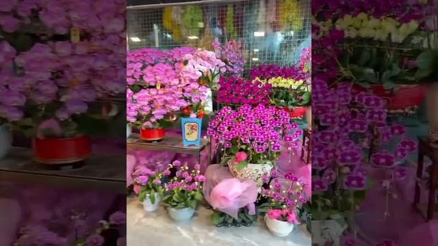 Guangzhou Lingnan Flower Market,so beautiful