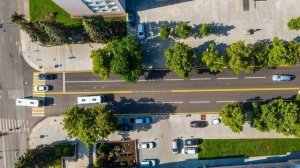 Что означает желтая прерывистая разметка? И чем она отличается от белой