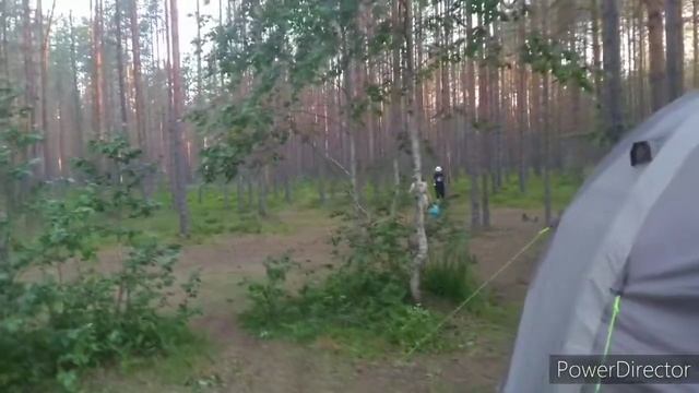 #отдых #озеро #походсночёвкой #экотропа Пятеярви Озеро Лебяжье