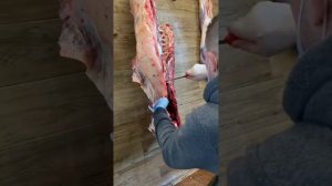 Разделить Лопатка Говядина