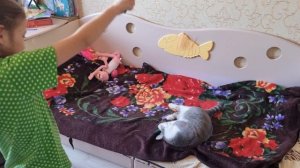 Ника и одноглазый пират Барсик!