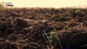 ПРИРОДНОЕ ОБЕЗЗАРАЖИВАНИЕ ПОЧВЫ. Самый легкий способ уничтожить инфекцию в почве, доступный всем!