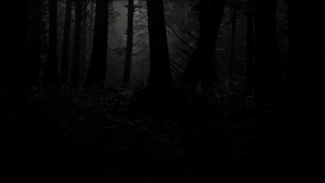 Bernard Herrmann - "Psycho" soundtrack suite (II); Royal Scottish National Orchestra; Joel McNeely смотреть онлайн