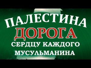 Что значит Аль-Акса для мусульман? Почему Палестина дорога для мусульман? События открывающие глаза!