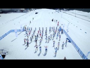 Корпоративные соревнования по лыжным гонкам