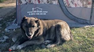 Терма-4 двойная баня, 2 печи