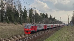 Электропоезда ЭД4М-0103 и ЭД4М-0391, перегон Софрино - Пушкино
