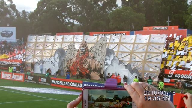 Western Sydney Wanderers v Sydney FC - 16-1-16 - WSW Tifo смотреть онлайн