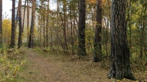Прогулка по парку