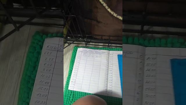 2 дня щенкам чихуахуа взвешиваем