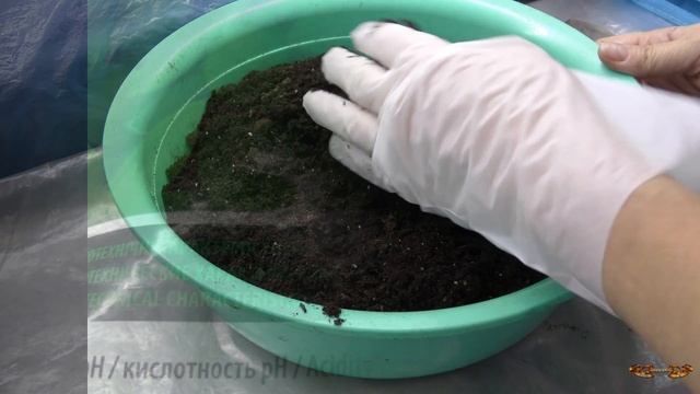 Какой грунт для рассады лучше? Кислотность почвы - кто какую любит? Как раскислять покупной грунт