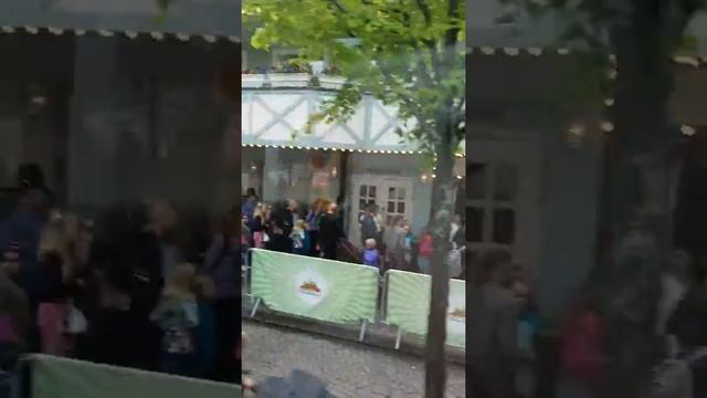Обзорная Экскурсия по Стокгольму.Парк аттракционов