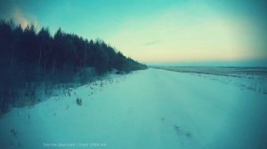 Утренняя прогулка на природе. Morning walk in nature