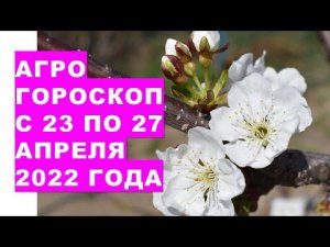 Агрогороскоп с 23 по 27 апреля 2022 года