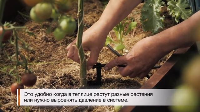 Капельный полив Жук с регулируемыми капельницами смотреть онлайн