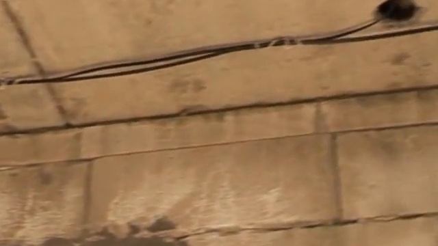 Способы скрытой прокладки кабеля смотреть онлайн