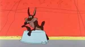 По дороге с облаками Скороход и Вилли койот и эндемичные страус