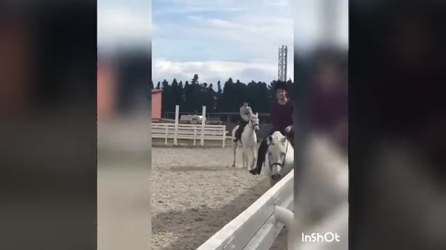 Влог конный/ Эльбрус смотреть онлайн