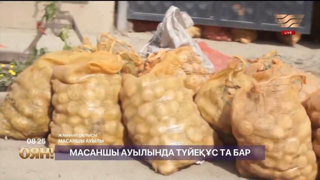 Әлеуметтік желінің пайдасы мен зияны. «Оян!»