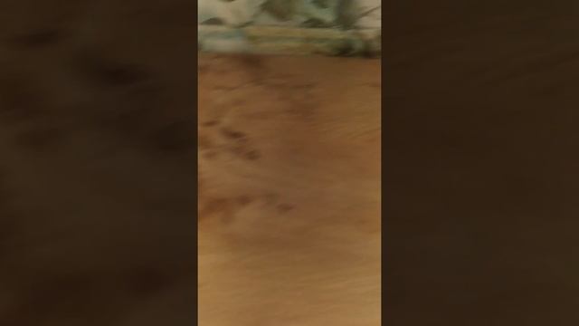 Чистящее средство Санитол