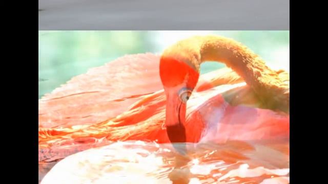 harmonization,meditation-- гармонизация настроения. смотреть онлайн