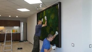 Панно из плоского зелёного стабилизированного мха размером от компании Green's Wall