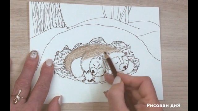 Как нарисовать медведя карандашом легко поэтапно. Как нарисовать медвежонка. смотреть онлайн