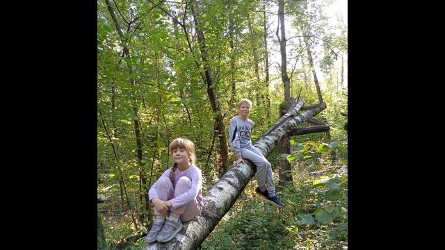 осень