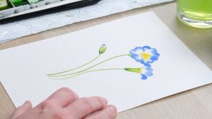 How to Paint a Watercolour Primrose