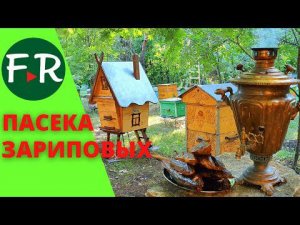 Пчелиный мёд прямо в банки! Как поймать рой? Устройство омшанника для пчёл Семейная пасека Зариповых