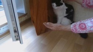 КАК НАЙТИ ПРИЗРАКА В КВАРТИРЕ