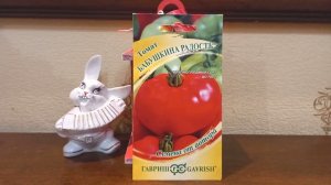 Готовлюсь к новому сезону. Уже закупила семена томата "Бабушкина радость" от агрофирмы Гавриш