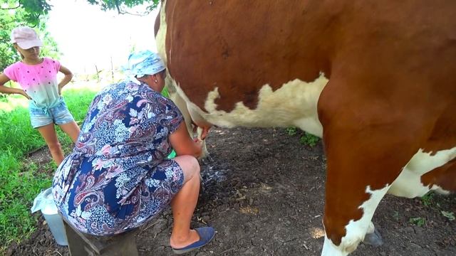 VLOG Купаемся в озере дою корову Каникулы в деревне 4 серия смотреть онлайн