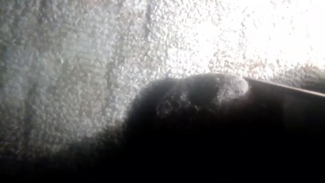 Как быстро зарядить телефон