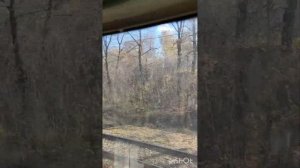 Кумертау Учалы