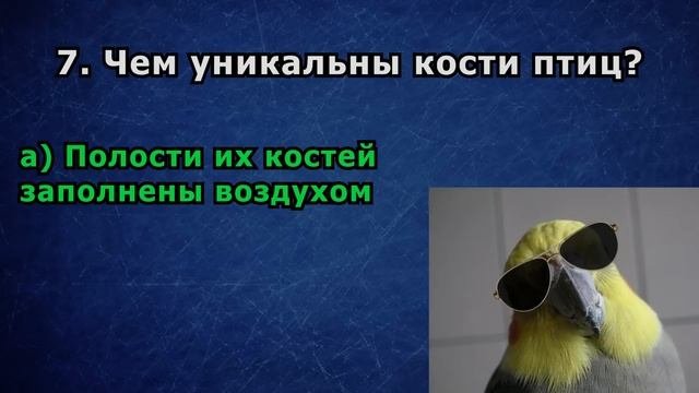 ЭРУДИЦИЯ - Сложный Тест | 14 Вопросов | Эпоха Мысли