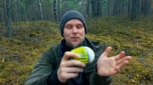 KILNEX ( Килнекс ) честный обзор  блогера  Владимир Чайкин.