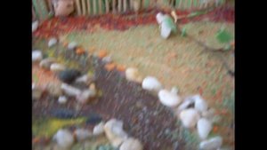 Творческий проект ученика 5 класса