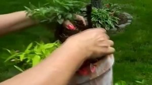 Композиция из цветочных горшков своими руками