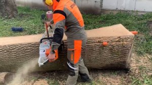 Заготовка деревянных слэбов ясеня