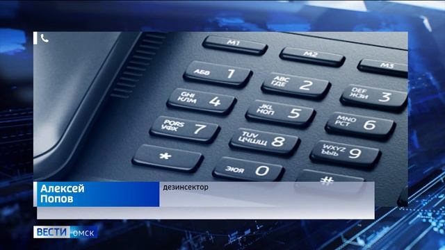 Кормовые тараканы устроили колонию в одном из районов города смотреть онлайн