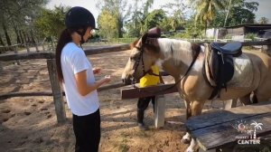 Катание на лошадях на Пхукете. Лошади на пляже.